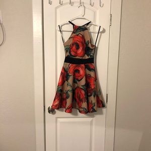Floral Wet Suit Fit and Flare Dress